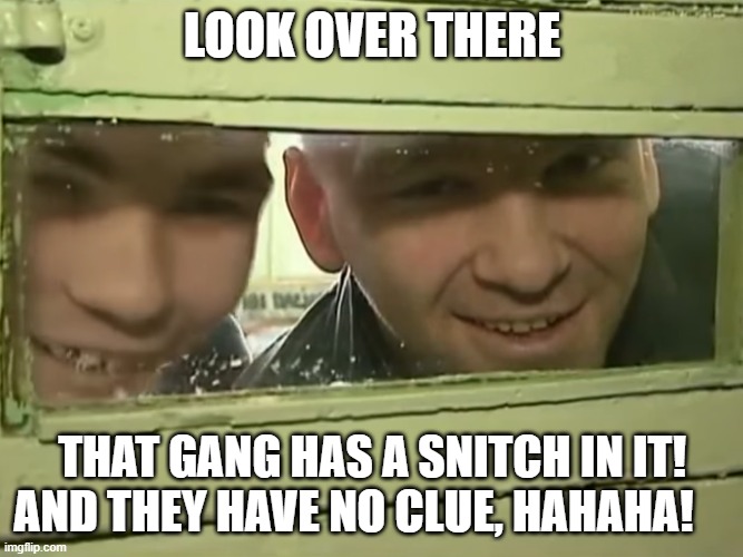 SNITCH IN THE GANG | LOOK OVER THERE; THAT GANG HAS A SNITCH IN IT! AND THEY HAVE NO CLUE, HAHAHA! | image tagged in crime asylum,gta 5,games,cartel,sicillians | made w/ Imgflip meme maker