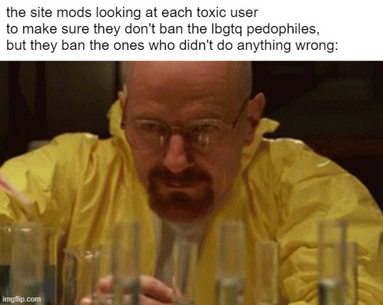 Walter White Cooking | the site mods looking at each toxic user to make sure they don't ban the lbgtq pedophiles, but they ban the ones who didn't do anything wrong: | image tagged in walter white cooking | made w/ Imgflip meme maker