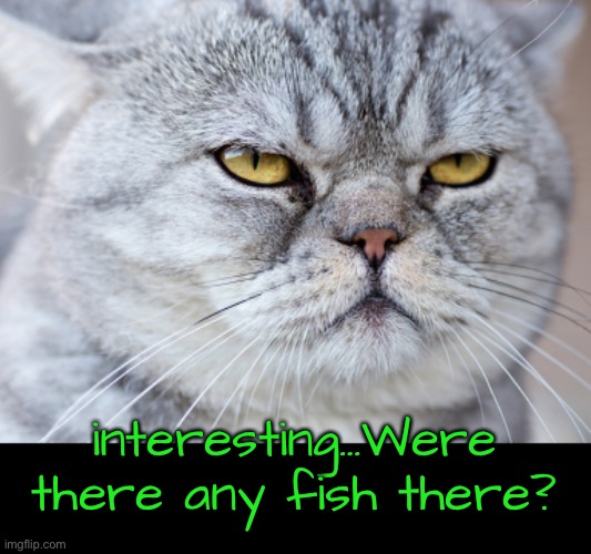 interesting…Were there any fish there? | made w/ Imgflip meme maker
