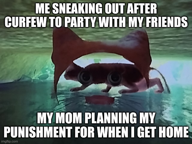 Stray Nightmare Glitch | ME SNEAKING OUT AFTER CURFEW TO PARTY WITH MY FRIENDS; MY MOM PLANNING MY PUNISHMENT FOR WHEN I GET HOME | image tagged in stray cheshire cat | made w/ Imgflip meme maker