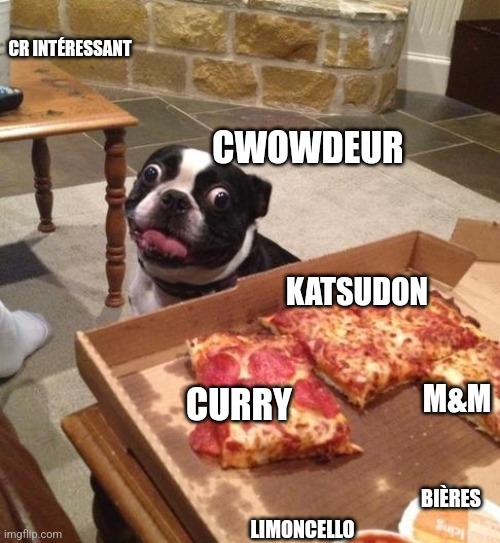 Hungry Pizza Dog | CR INTÉRESSANT; CWOWDEUR; KATSUDON; M&M; CURRY; BIÈRES; LIMONCELLO | image tagged in hungry pizza dog | made w/ Imgflip meme maker