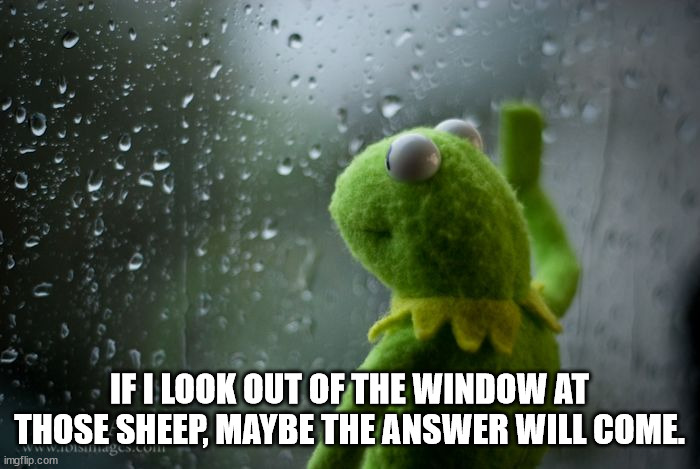 kermit window | IF I LOOK OUT OF THE WINDOW AT THOSE SHEEP, MAYBE THE ANSWER WILL COME. | image tagged in kermit window | made w/ Imgflip meme maker