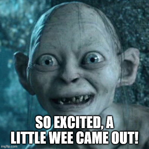 Gollum Meme | SO EXCITED, A LITTLE WEE CAME OUT! | image tagged in memes,gollum | made w/ Imgflip meme maker