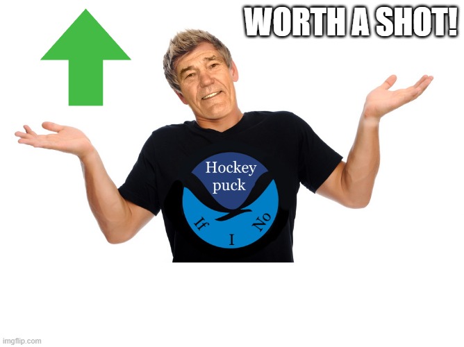 WORTH A SHOT! | image tagged in hokey puck if i no | made w/ Imgflip meme maker