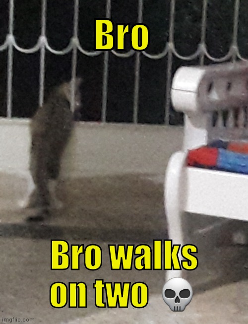 . | Bro; Bro walks on two 💀 | made w/ Imgflip meme maker