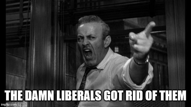 angry man | THE DAMN LIBERALS GOT RID OF THEM | image tagged in angry man | made w/ Imgflip meme maker