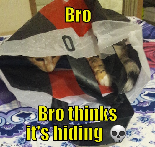 . | Bro; Bro thinks it's hiding 💀 | made w/ Imgflip meme maker