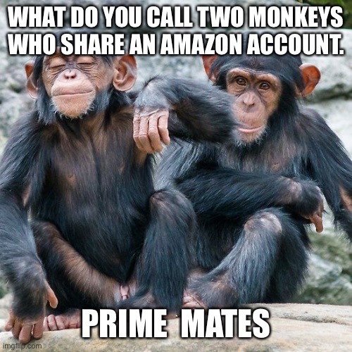 Two monkeys |  WHAT DO YOU CALL TWO MONKEYS WHO SHARE AN AMAZON ACCOUNT. PRIME  MATES | image tagged in amazon prime mates,two monkeys,share an account,amazon,prime mates | made w/ Imgflip meme maker