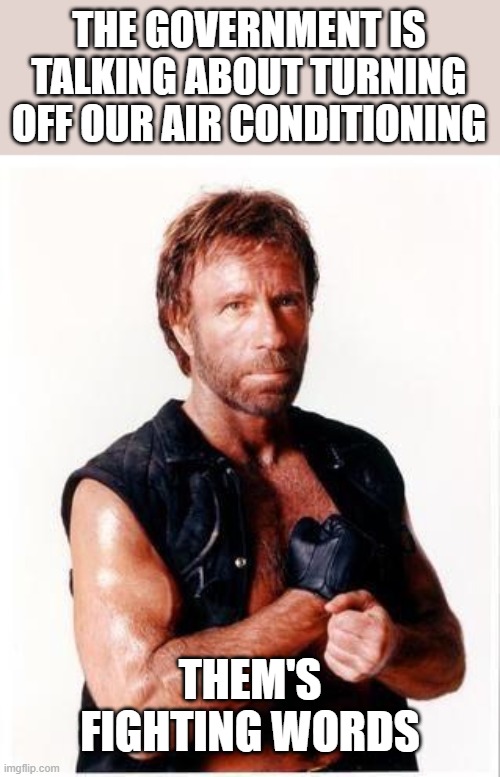 Don't mess with a man's money or his AC | THE GOVERNMENT IS TALKING ABOUT TURNING OFF OUR AIR CONDITIONING; THEM'S FIGHTING WORDS | image tagged in memes,chuck norris flex,chuck norris,air conditioning,government | made w/ Imgflip meme maker