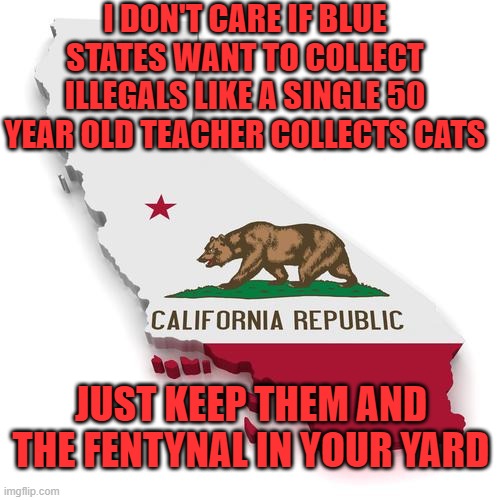 Just the fact from jack | I DON'T CARE IF BLUE STATES WANT TO COLLECT ILLEGALS LIKE A SINGLE 50 YEAR OLD TEACHER COLLECTS CATS; JUST KEEP THEM AND THE FENTYNAL IN YOUR YARD | image tagged in california | made w/ Imgflip meme maker