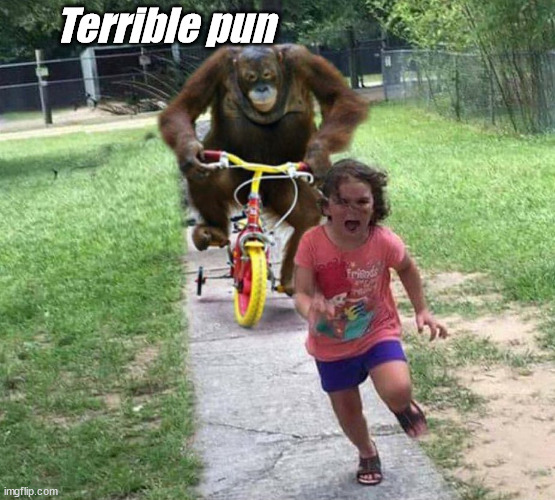 Run! | Terrible pun | image tagged in run | made w/ Imgflip meme maker