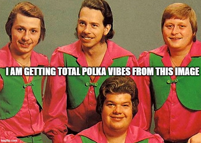 Strike Up the Accordion |  I AM GETTING TOTAL POLKA VIBES FROM THIS IMAGE | image tagged in music | made w/ Imgflip meme maker