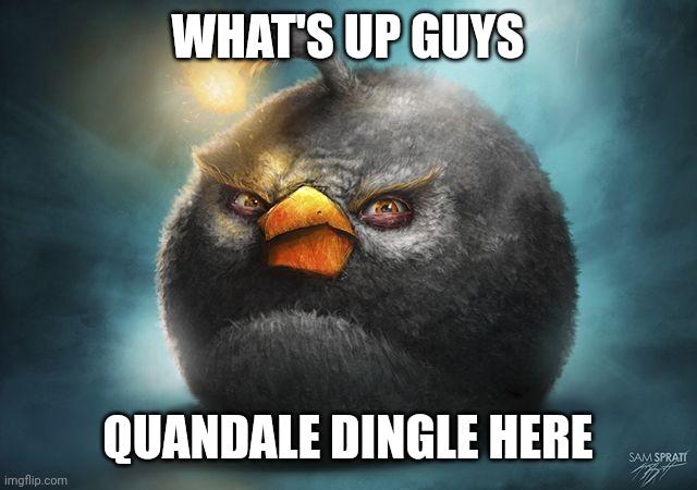 angry birds bomb | WHAT'S UP GUYS; QUANDALE DINGLE HERE | image tagged in angry birds bomb | made w/ Imgflip meme maker