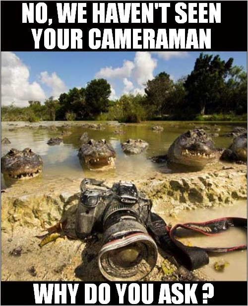 Risky Wildlife Photography ! | NO, WE HAVEN'T SEEN 
YOUR CAMERAMAN; WHY DO YOU ASK ? | image tagged in fun,alligators,eating,photographer | made w/ Imgflip meme maker