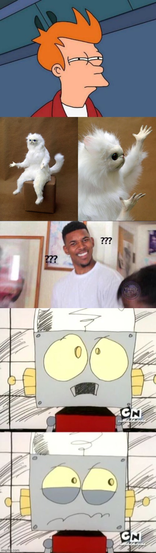 image tagged in memes,futurama fry,persian cat room guardian,black guy confused | made w/ Imgflip meme maker