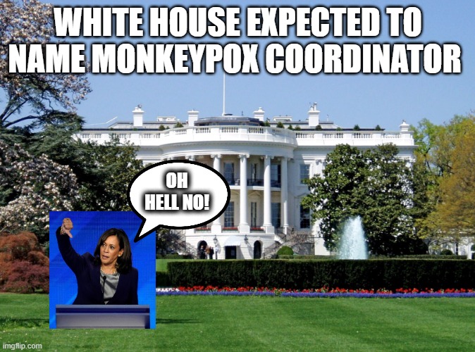 Monkeypox Czar | WHITE HOUSE EXPECTED TO NAME MONKEYPOX COORDINATOR; OH HELL NO! | image tagged in white house,kamala harris,monkeypox | made w/ Imgflip meme maker