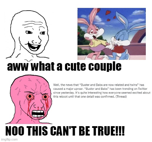 so Buster and Babs are related now |  aww what a cute couple; NOO THIS CAN'T BE TRUE!!! | image tagged in blank white template,wojak,tiny toons | made w/ Imgflip meme maker