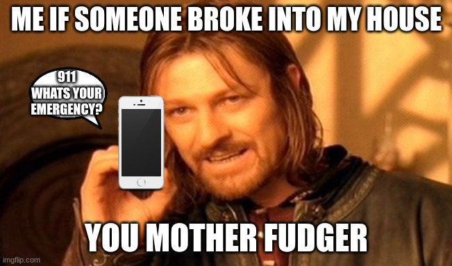 me home alone | ME IF SOMEONE BROKE INTO MY HOUSE; 911 WHATS YOUR EMERGENCY? YOU MOTHER FUDGER | image tagged in memes,one does not simply | made w/ Imgflip meme maker
