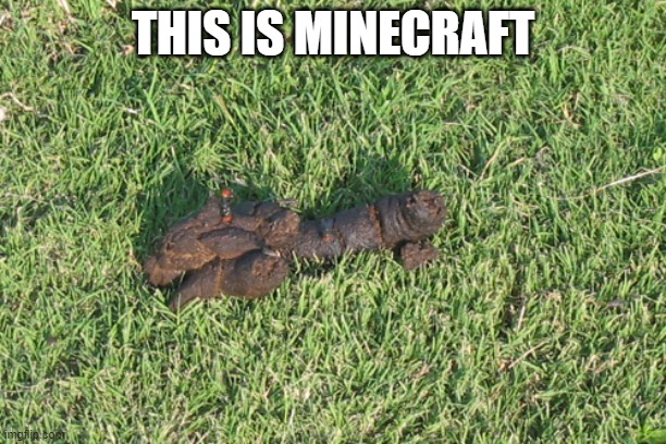 dog poop | THIS IS MINECRAFT | image tagged in dog poop,memes,president_joe_biden | made w/ Imgflip meme maker