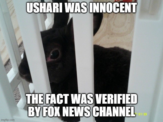 Coconut | USHARI WAS INNOCENT; THE FACT WAS VERIFIED BY FOX NEWS CHANNEL | image tagged in coconut | made w/ Imgflip meme maker
