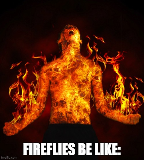 Man on fire | FIREFLIES BE LIKE: | image tagged in man on fire | made w/ Imgflip meme maker