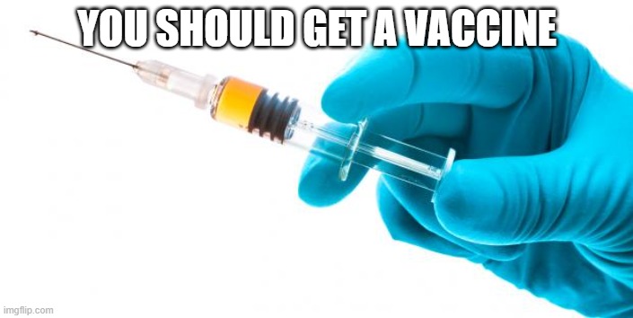 Syringe vaccine medicine | YOU SHOULD GET A VACCINE | image tagged in syringe vaccine medicine | made w/ Imgflip meme maker