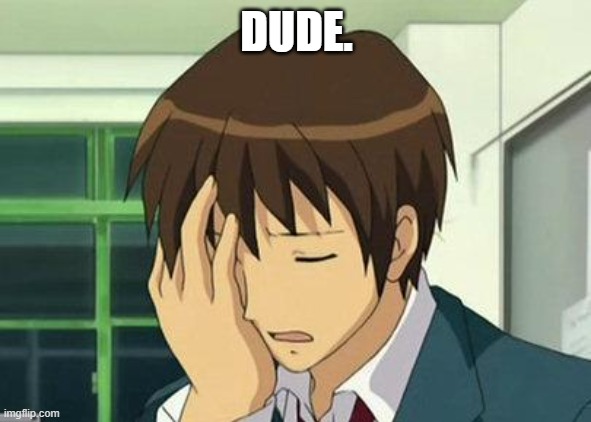 Kyon Face Palm Meme | DUDE. | image tagged in memes,kyon face palm | made w/ Imgflip meme maker