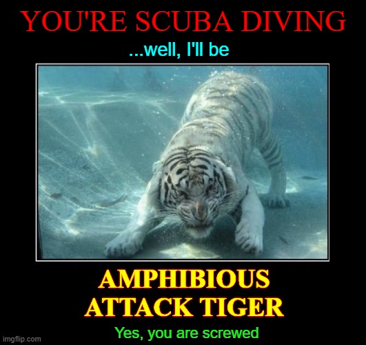 Times when "Uh-Oh" is just not enough! | YOU'RE SCUBA DIVING; ...well, I'll be; AMPHIBIOUS
ATTACK TIGER; Yes, you are screwed | image tagged in vince vance,underwater,attack,tiger,memes,scuba diving | made w/ Imgflip meme maker
