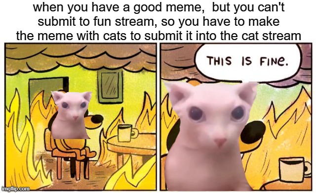 i actually had a good meme | when you have a good meme,  but you can't submit to fun stream, so you have to make the meme with cats to submit it into the cat stream | image tagged in memes,this is fine,help me | made w/ Imgflip meme maker