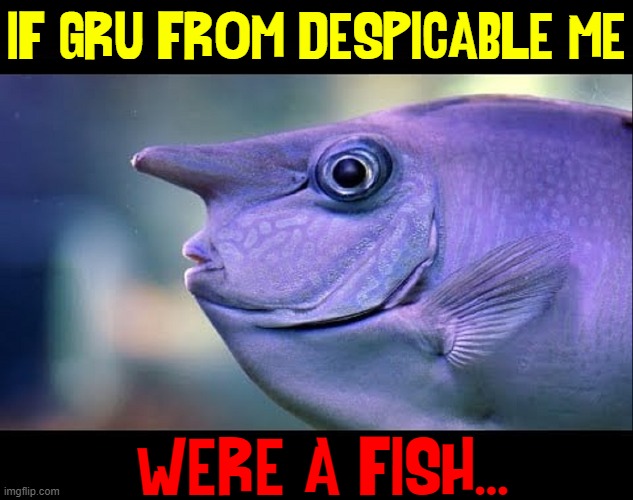 Get caught? The greatest fish of the century doesn't get caught | IF GRU FROM DESPICABLE ME; WERE A FISH... | image tagged in vince vance,despicable me,minions,gru,memes,fish | made w/ Imgflip meme maker