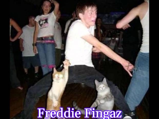 Party hard cat | Freddie Fingaz | image tagged in party hard cat,freddie fingaz,slavic | made w/ Imgflip meme maker