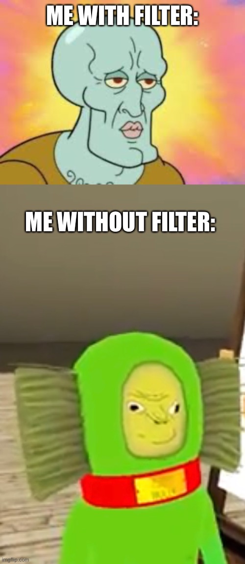 ME WITH FILTER:; ME WITHOUT FILTER: | image tagged in handsome squidward | made w/ Imgflip meme maker