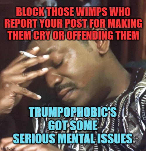 Trumpophobic's got some serious mental issues.  Block them. | BLOCK THOSE WIMPS WHO REPORT YOUR POST FOR MAKING THEM CRY OR OFFENDING THEM; TRUMPOPHOBIC'S GOT SOME SERIOUS MENTAL ISSUES | image tagged in 9/11 fact checker | made w/ Imgflip meme maker