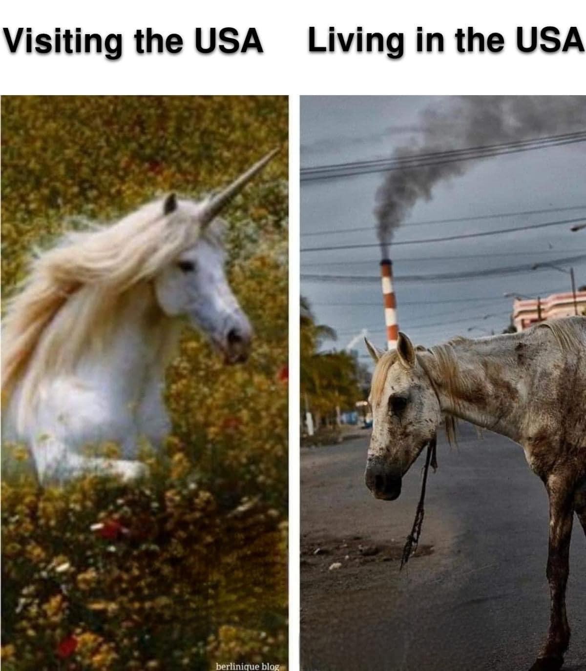 Visiting the USA Blank Meme Template