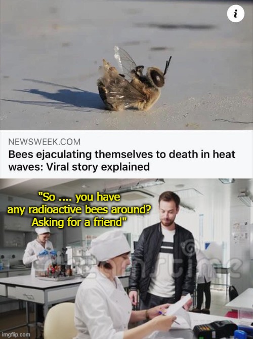 Bees | "So .... you have any radioactive bees around?
Asking for a friend" | image tagged in bees,heatwave,funny,news | made w/ Imgflip meme maker