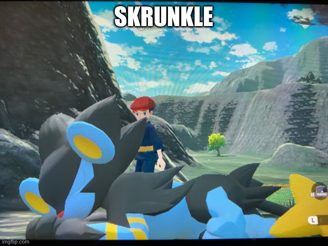 SKRUNKLE | made w/ Imgflip meme maker