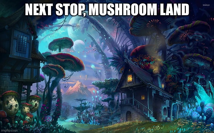 Mushroom Land | NEXT STOP, MUSHROOM LAND | image tagged in mushrooms,road trip,mushroom | made w/ Imgflip meme maker