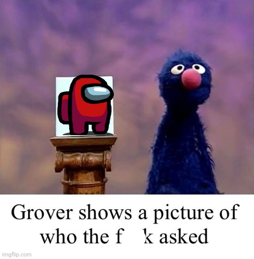 Grover: Who Asked | image tagged in grover who asked | made w/ Imgflip meme maker