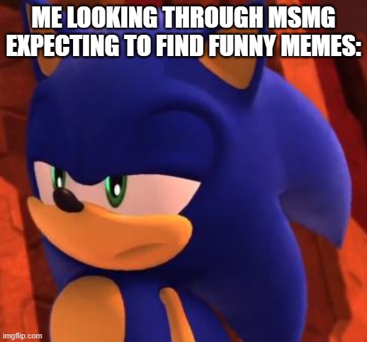 Disappointed Sonic | ME LOOKING THROUGH MSMG EXPECTING TO FIND FUNNY MEMES: | image tagged in disappointed sonic | made w/ Imgflip meme maker