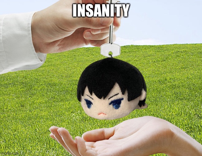 H | INSANITY | image tagged in tobio keychainyama | made w/ Imgflip meme maker