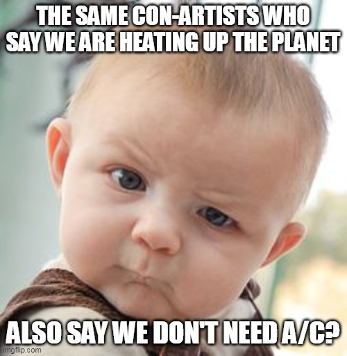 Skeptical Baby Meme | THE SAME CON-ARTISTS WHO SAY WE ARE HEATING UP THE PLANET ALSO SAY WE DON'T NEED A/C? | image tagged in memes,skeptical baby | made w/ Imgflip meme maker