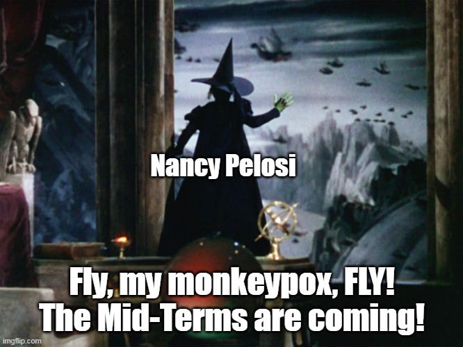 Never let a crisis go to waste. No crisis? Make one up . . . | Nancy Pelosi; Fly, my monkeypox, FLY!
The Mid-Terms are coming! | image tagged in nancy pelosi,midterms | made w/ Imgflip meme maker