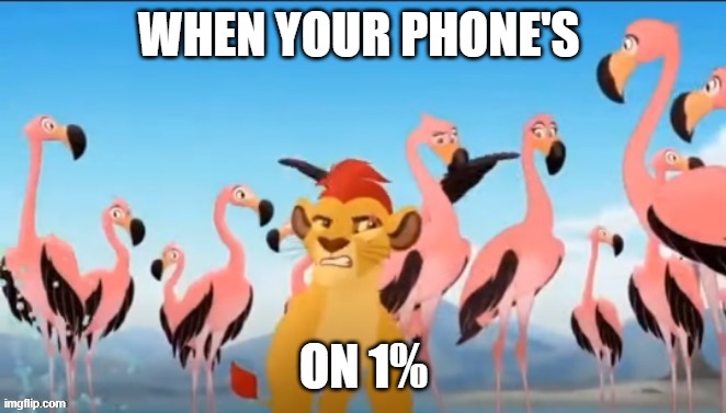 When Your Phone's on 1% |  WHEN YOUR PHONE'S; ON 1% | image tagged in the lion king,the lion guard,kion | made w/ Imgflip meme maker