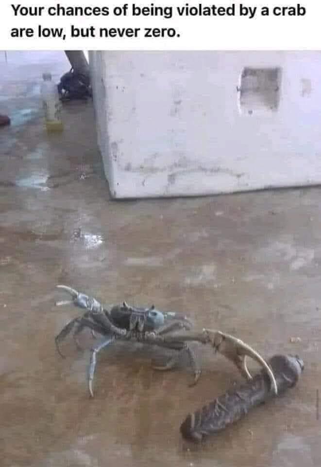 Violated by a crab Blank Meme Template