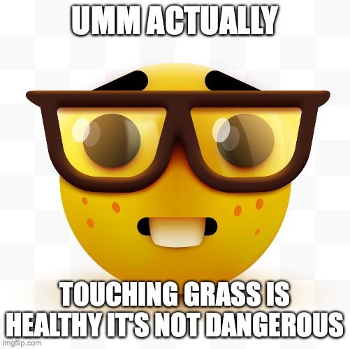 Nerd emoji | UMM ACTUALLY; TOUCHING GRASS IS HEALTHY IT'S NOT DANGEROUS | image tagged in nerd emoji | made w/ Imgflip meme maker