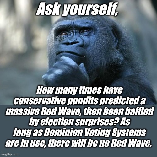 Call your governor, state representatives, secretary of state,  local election officials, everyone and demand a real count. |  Ask yourself, How many times have conservative pundits predicted a massive Red Wave, then been baffled by election surprises? As long as Dominion Voting Systems are in use, there will be no Red Wave. | image tagged in deep thoughts | made w/ Imgflip meme maker