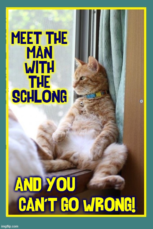 "You've got such Confidence. But why, sir!" |  MEET THE 
MAN
WITH
THE
SCHLONG; AND YOU; CAN'T GO WRONG! | image tagged in vince vance,cats,meow,funny cat memes,i love cats,cool cat | made w/ Imgflip meme maker