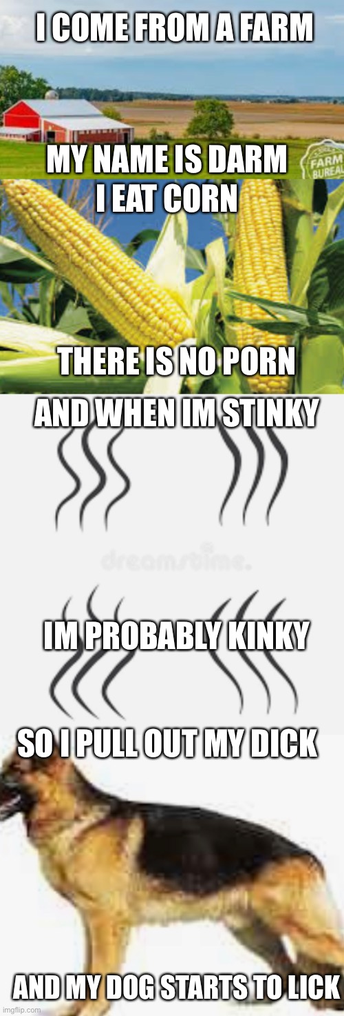 Darm Corn Stinky Lick | I COME FROM A FARM; MY NAME IS DARM; I EAT CORN; THERE IS NO PORN; AND WHEN IM STINKY; IM PROBABLY KINKY; SO I PULL OUT MY DICK; AND MY DOG STARTS TO LICK | image tagged in dog | made w/ Imgflip meme maker