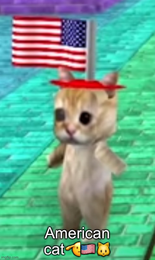 American cat | American cat🫡🇺🇸🐱 | image tagged in american cat | made w/ Imgflip meme maker