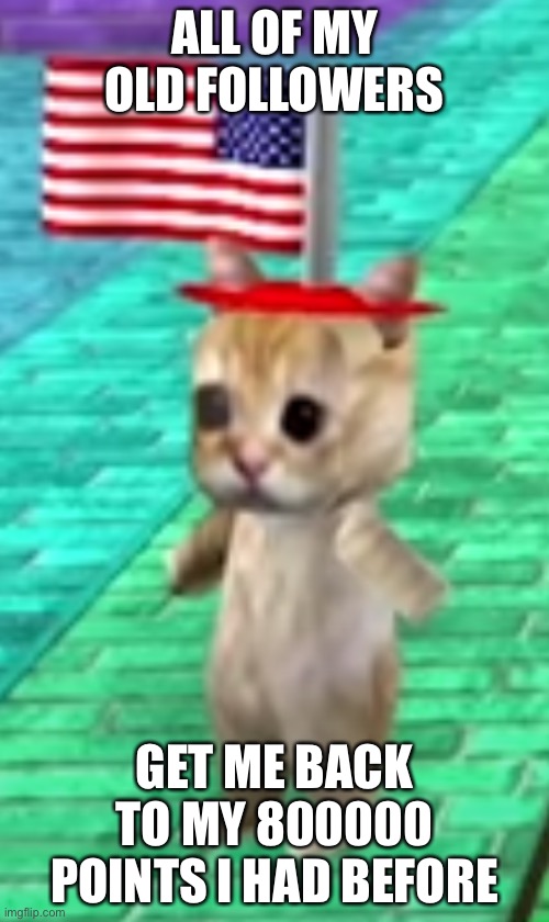 American cat | ALL OF MY OLD FOLLOWERS; GET ME BACK TO MY 800000 POINTS I HAD BEFORE | image tagged in american cat | made w/ Imgflip meme maker